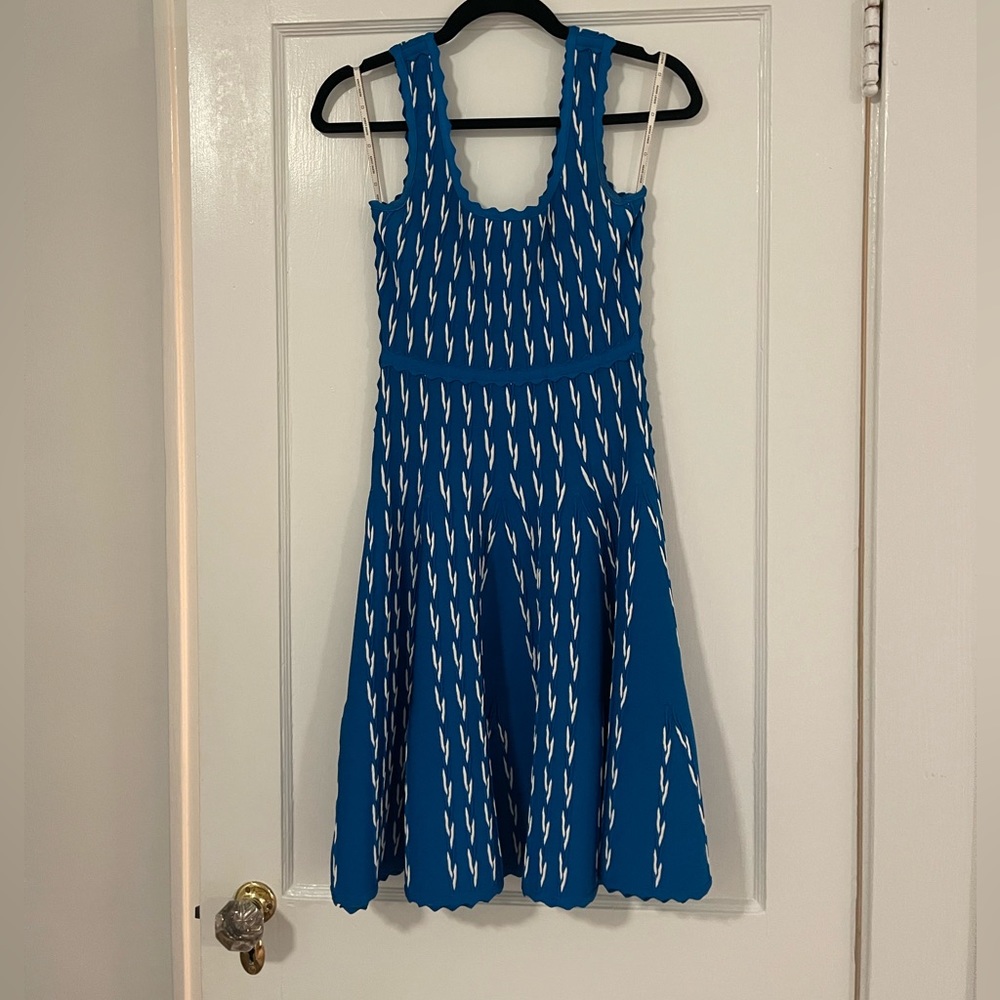 Herve Leger blue and white dress